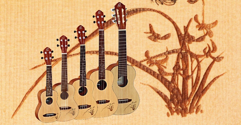 Ukelele-snaren: materiaal, dikte en lengte