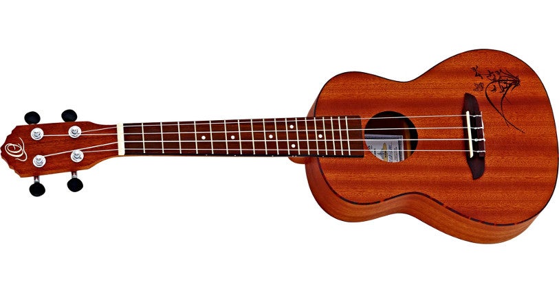 Welke maat ukelele moet ik kopen ? - Concert