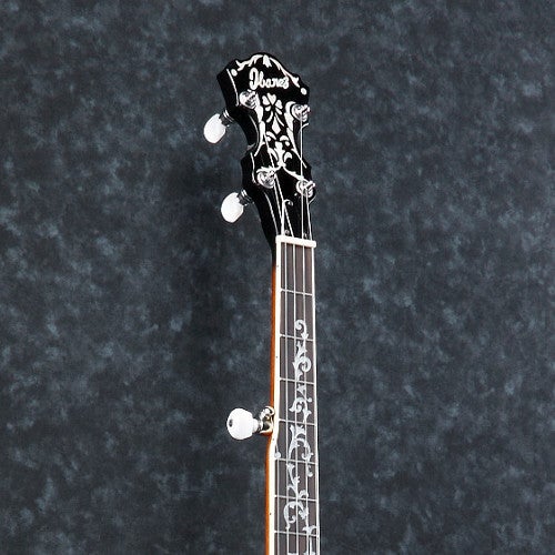 Combien de cordes sur un banjo ? Combien de cordes sur un banjo ?