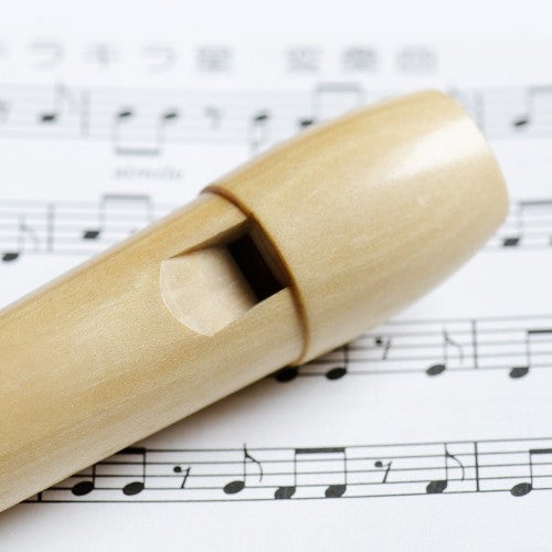 Wordt de blokfluit alleen gebruikt als les-instrument?